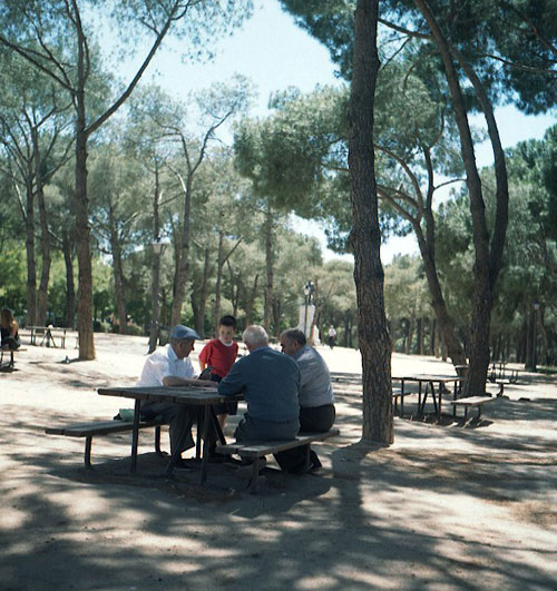 Locals playing chess in one of the many parks in Madrid